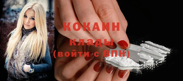 сатива Горняк