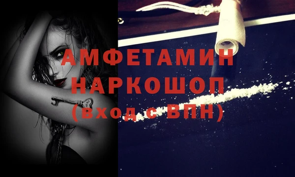 сатива Горняк
