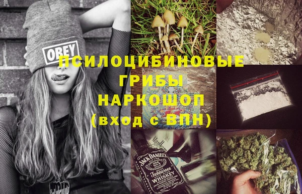 сатива Горняк
