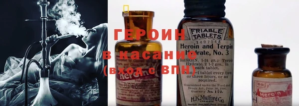 сатива Горняк