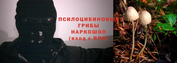 сатива Горняк