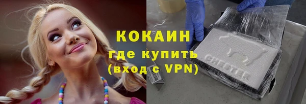 сатива Горняк