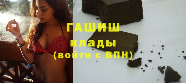 сатива Горняк