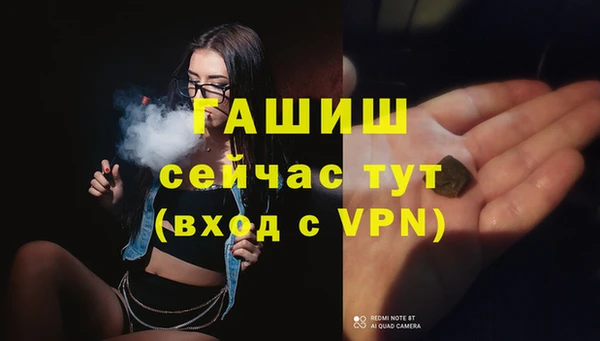 сатива Горняк