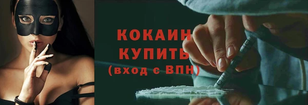 сатива Горняк