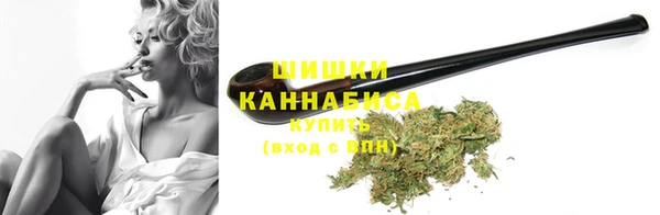 сатива Горняк
