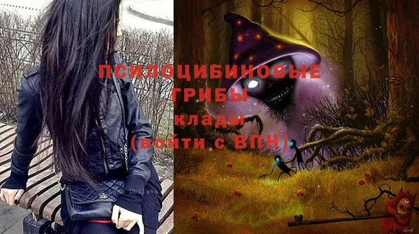 прущий лед Горно-Алтайск