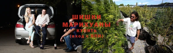 прущий лед Горно-Алтайск