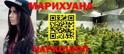 крисы Братск