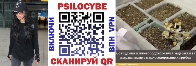 наркотики  Муром  Галлюциногенные грибы ЛСД 