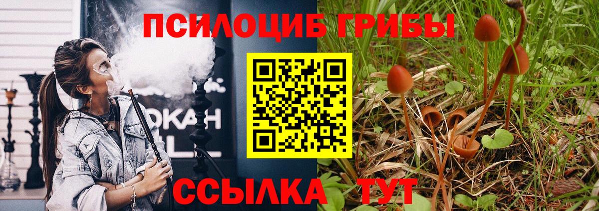 Муром  Псилоцибиновые грибы прущие грибы  хочу   Вход с VPN 