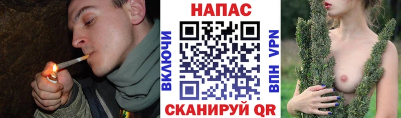 где купить наркоту kraken маркетплейс Канабис ГИДРОПОН Муром